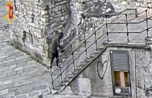 Fermato dalla polizia lo scippatore di Capodanno: è un richiedente asilo | Video