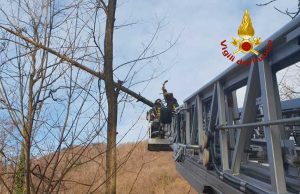Intervento a Tiglieto per albero abbattuto su linea elettrica
