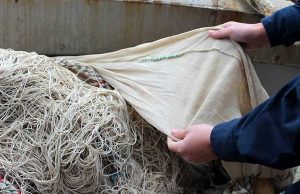 La guardia costiera sequestra 2,5 km di rete nel Santuario dei cetacei
