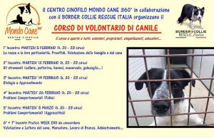 Al via a Savona un corso per volontario di canile