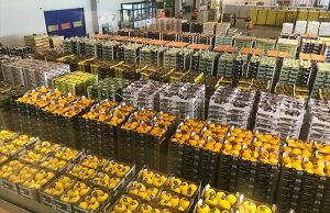 Orsero acquisisce il Gruppo Fruttica e si fortifica nella distribuzione in Francia