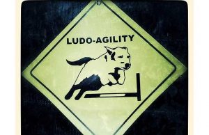 La Giornata conclusiva del progetto Ludo Agility a Scuola a Savona