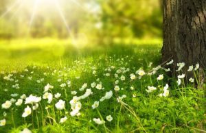 Benvenuta Primavera, inizierà questa sera alle 22.58 con una Superluna