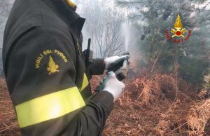 Recco, pulizia sentieri a difesa degli incendi boschivi Fiamme sul monte di Portofino, sul posto anche l’elicottero
