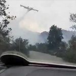 Domato l'incendio divampato sulla collina di Alassio