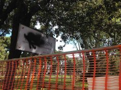 Ancora una volta lordata la targa di Ugo Venturini in piazza Verdi