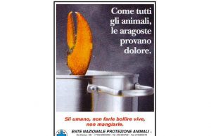 Ristorante con cartello Si cucinano astici vivi: la rabbia dell’Enpa