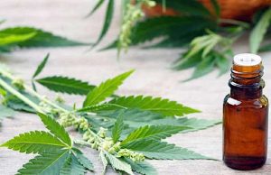 Cannabis terapeutica, Costa: primo tavolo per risposta concreta ai pazienti Tabaccaio denunciato per spaccio: vendeva cannabis a percentuale di sostanze non consentita