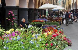 Chiavari in Fiore, mostra mercato fiori e piante decorative