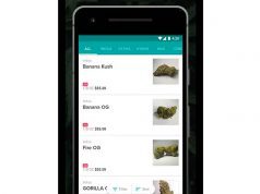 Da Google un blocco alle app che vendono marijuana
