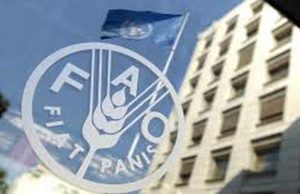 Rinnovo Direttore FAO. a Roma. Slow Food: più sensibiltà agroeconomia sostenibile