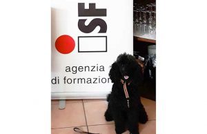 Ultimo Modulo Formativo Dog-partner Turisti a 4 Zampe A.S 2018-2019