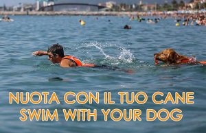 Nuota con il tuo cane – Swim with your dog