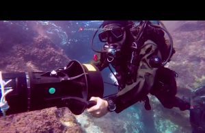 1989 – 2019: la Guardia costiera ha celebrato i suoi 30 anni di storia | Video