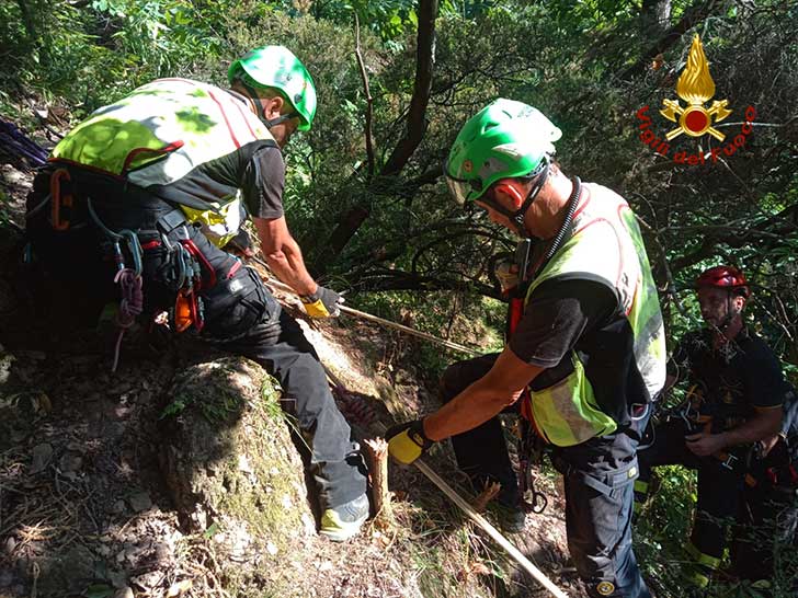 Biker cade e si ferisce sulle alture di Finale Ligure - ligurianotizie.it