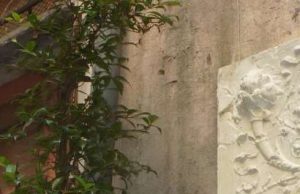 Successo per la personale di Giuseppe Ferrando ad Imperia