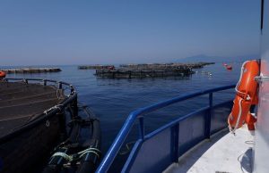 Aqua Lavagna: il ripristino e sviluppo dopo la mareggiata