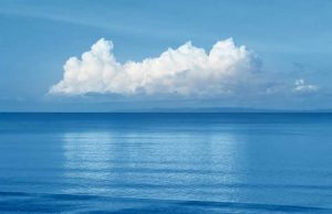 Il Nano Morgante | Il pensiero adulto