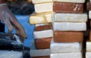 60 Kg di coca trovati dalla GdF nel porto di Vado Ligure