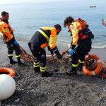 Non ce l'ha fatta il delfino avvistato nel canale di calma a Prà