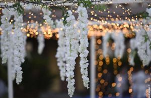 Alassio in bianco: una perla nell’estate alassina