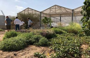 Costa Crociere Foundation: un accordo per promuovere l’agricoltura sostenibile in Giordania