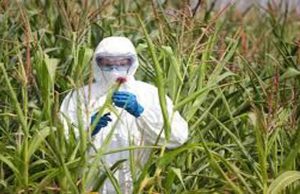 Slow Food. L’UE tenga chiuse le porte alle nuove tecniche di mutagenesi (NBT)