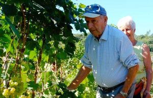 CIA in lutto per la scomparsa di Ettore Vio tra i primi a lanciare il Pigato