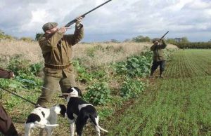 A Savona un fagiano si rifugia in chiesa