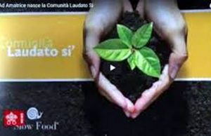 Un albero in più. Progetto-appello Comunità Laudato sì e Slow Food