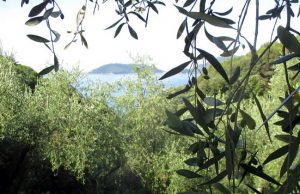 La green economy protagonista a Orientamenti 2019