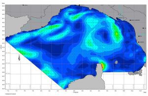 L’intelligenza artificiale per la sicurezza nella navigazione e per i cetacei