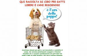 L’Enpa presso centro Il Gabbiano per aiuto a gatti e gattare