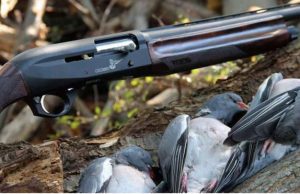 Spara agli uccelli, ma rischia di colpire le persone