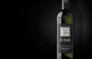 Gambero Rosso, vini d’Italia 2020: il miglior bianco è vermentino ligure