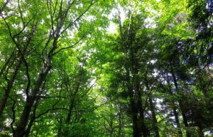 Blind Trek: escursione sensoriale a Imperia