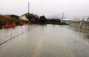 Allerta rossa devastazione nelle aziende agricole