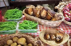 Grande polemica innescata sul mercatino del contadino di Ceriale