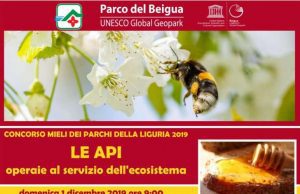 Le api operaie al servizio dell’ecosistema