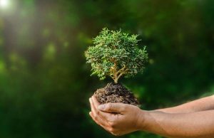 Open Day al Centro ragazzi Kaleidos a Borghetto S.Spirito