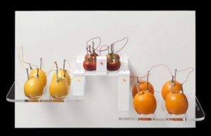 Sabato 9 alle 17 in Villa Nobel a Sanremo Green Energy