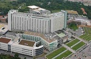 Arriverà tra qualche ora a Bologna il 12enne punto da una manta in Costa Rica