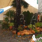 Torna a Murta la mostra della Zucca