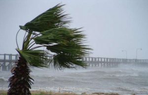 Arpal: avviso per vento di burrasca forte in Liguria fino a domani | Le previsioni
