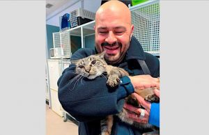 Il gatto Eden ritrovato a Savona: la gioia del proprietario