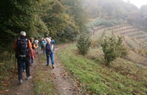 Loano non solo mare: escursione a Verezzi