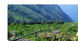 Nuovo direttore del Parco Nazionale delle Cinque Terre