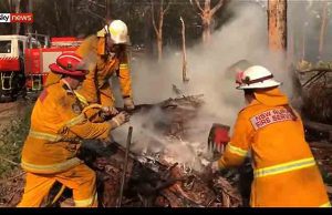 Da Norwegian Cruise Line 250.000$ a sostegno dell’Australia colpita dagli incendi