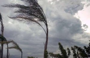 Avviso meteo per vento di burrasca forte su tutta la costa ligure Forti raffiche di vento in Liguria, sospesa attività porto di Pra’