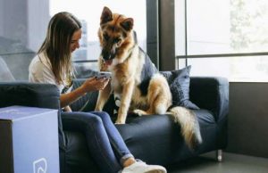 I veterinari di Barkyn a supporto dell’Italia